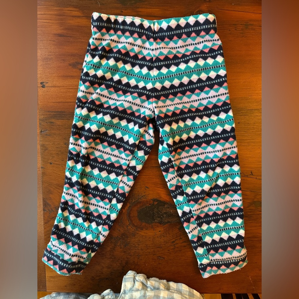 Patagonia micro d fleece pants